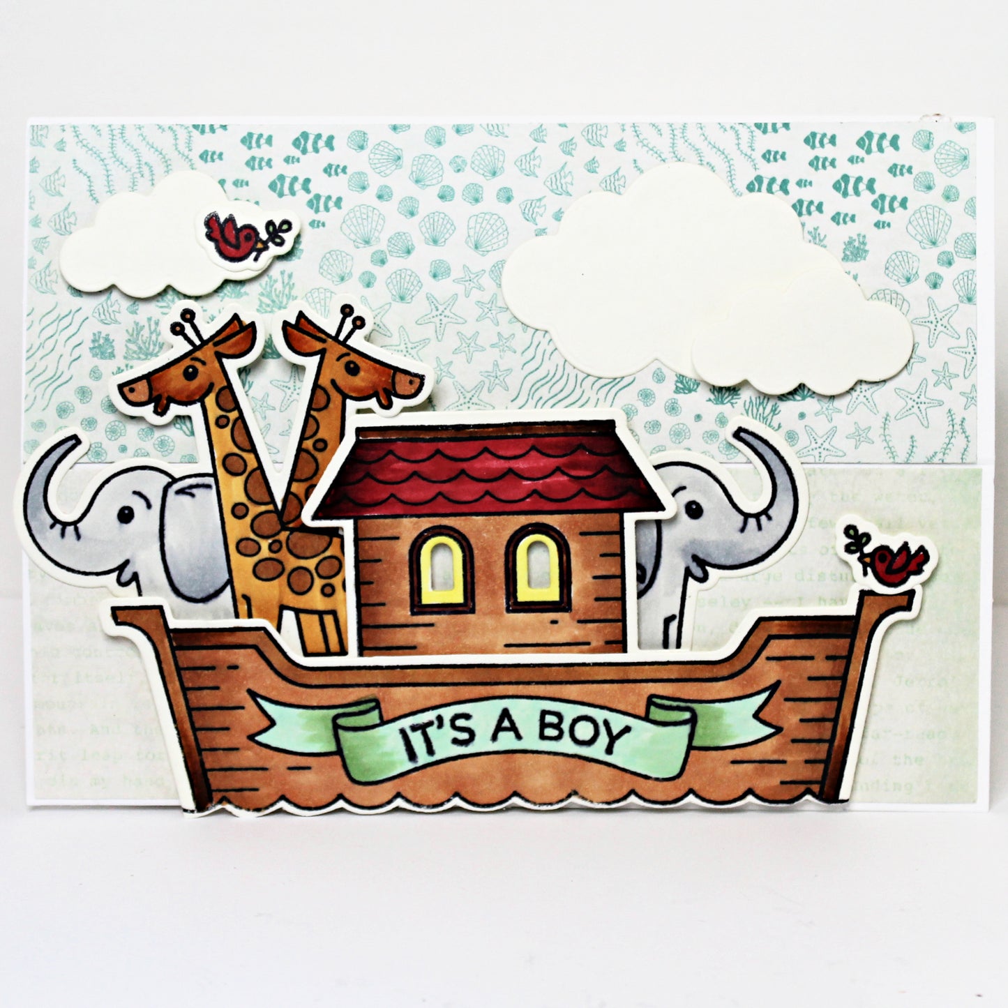DP Noah's Ark