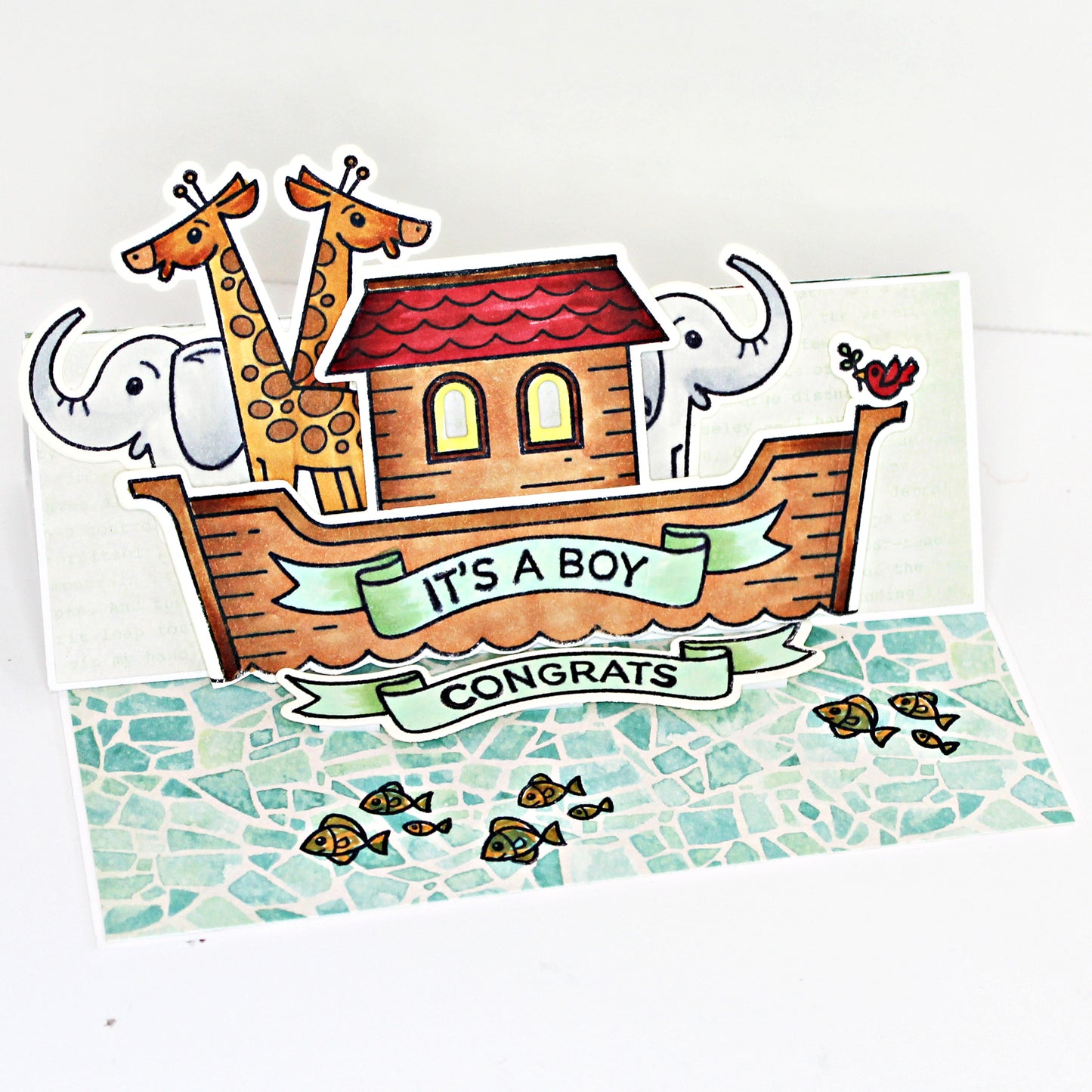 DP Noah's Ark