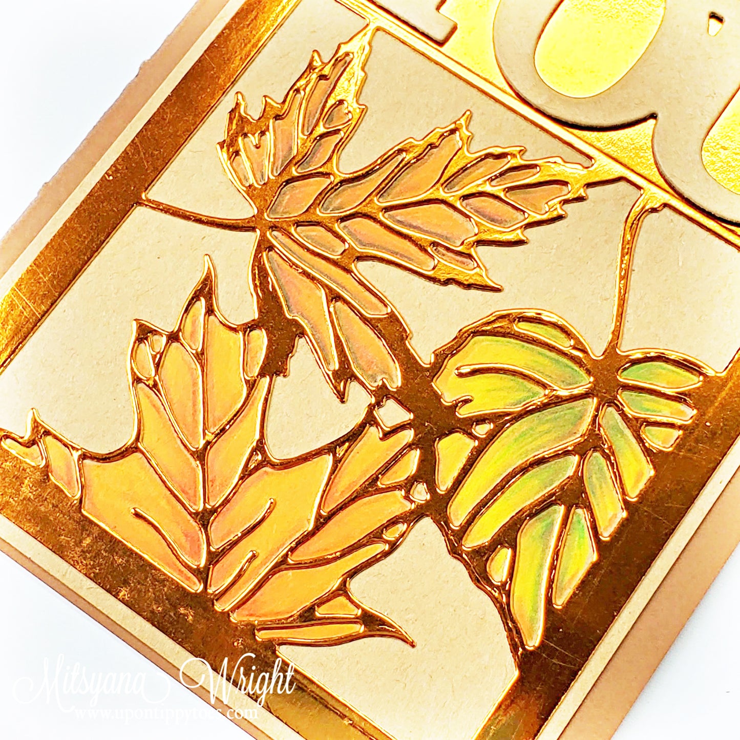 DP Autumn Window Foliage Dies & Stamps