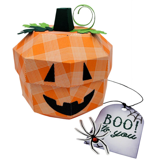 DP Pumpkin 3D Box