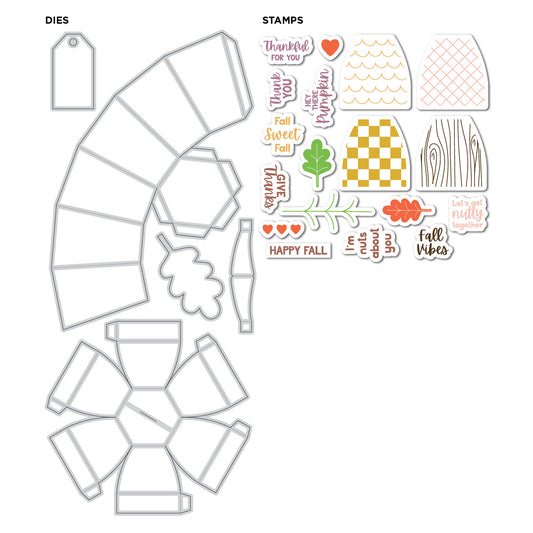 DP Acorn Box Stamp and Die Kit