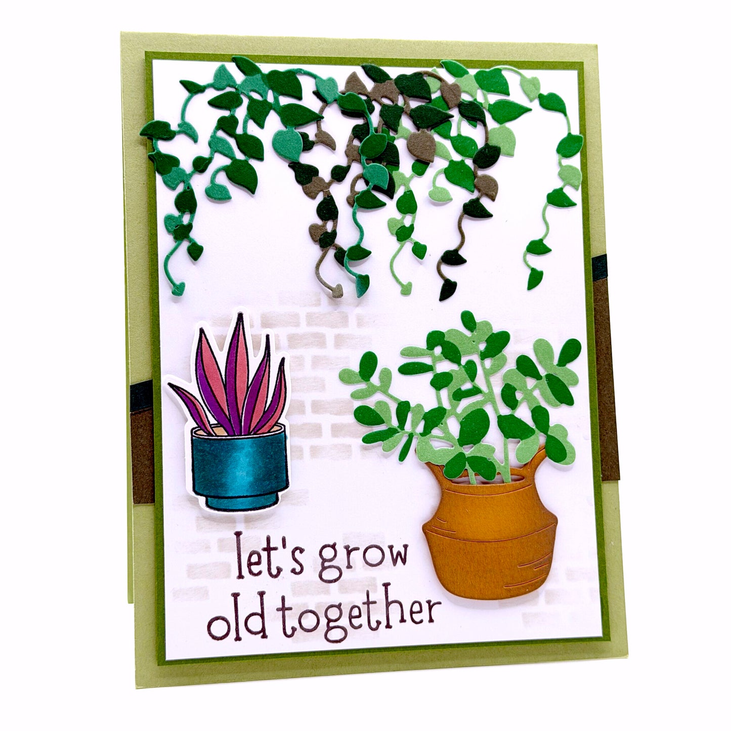 DP House Plants + Wood Planters