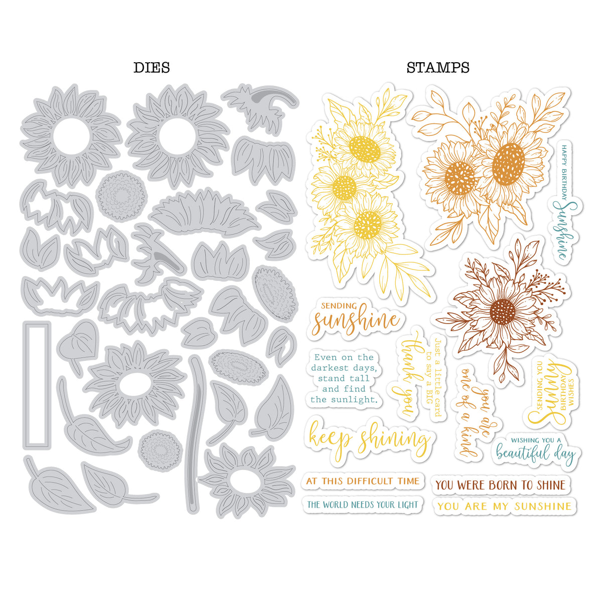 DP M STAMP & DIES FALL SUNFLOWER KIT