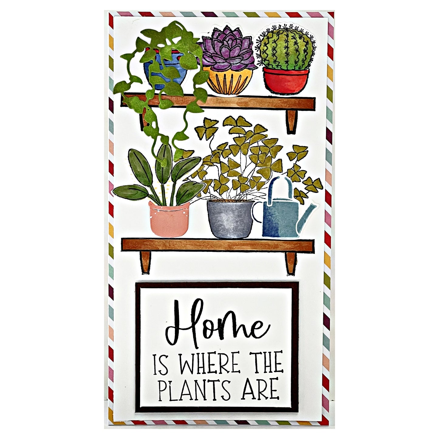 DP House Plants + Wood Planters