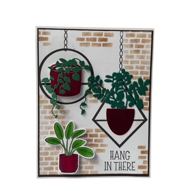 DP House Plants + Wood Planters
