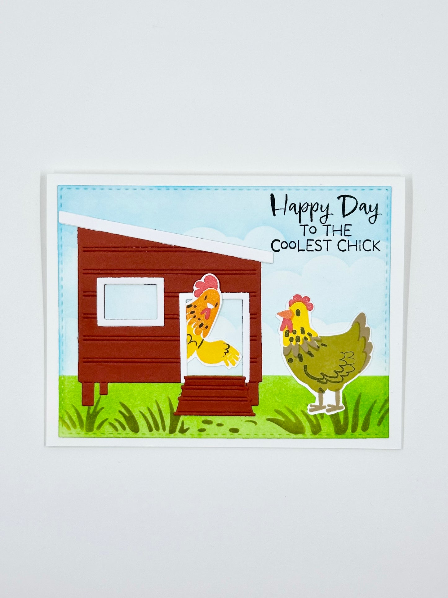 DP DIE, STAMP & STENCIL FEATHERED FRIENDS