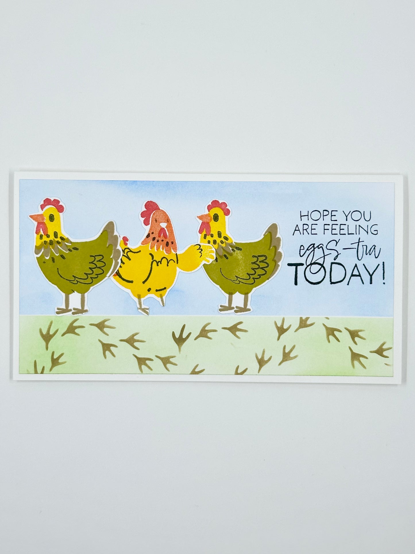 DP DIE, STAMP & STENCIL FEATHERED FRIENDS