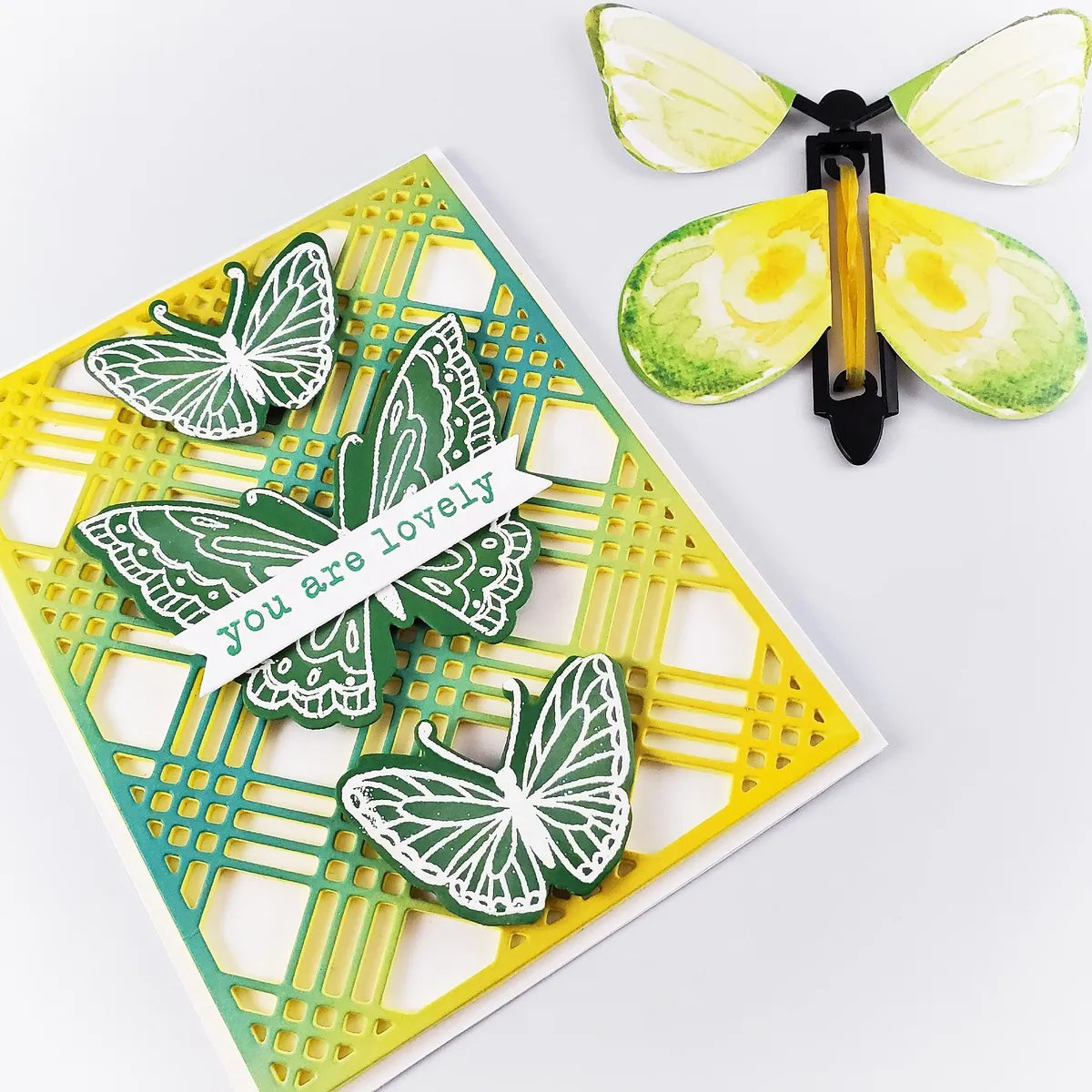 DP Butterfly Refill Kit