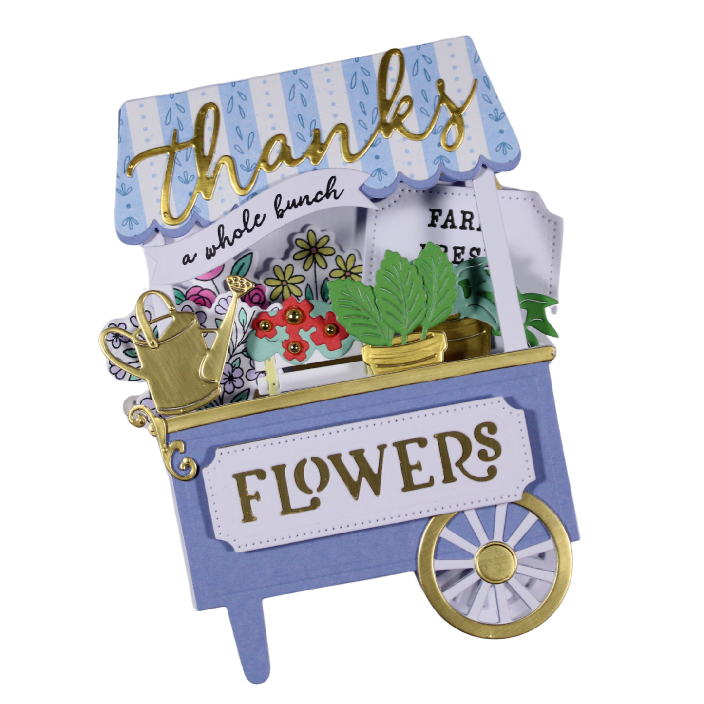 DP Lil Cart Stamp & Die Kit-GRAND MARQUISE