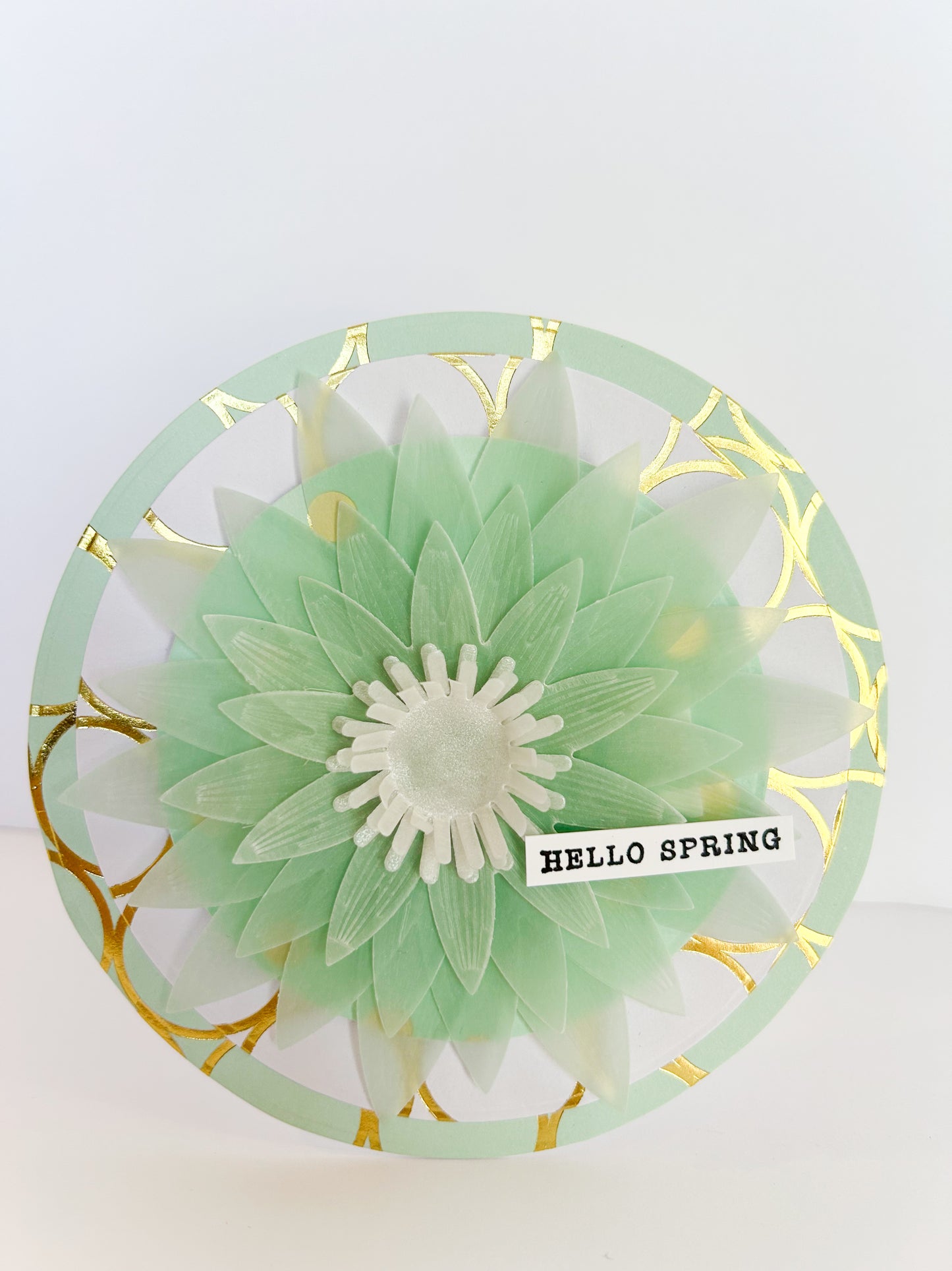 DP Nesting Dies Circles - GRAND MARQUISE