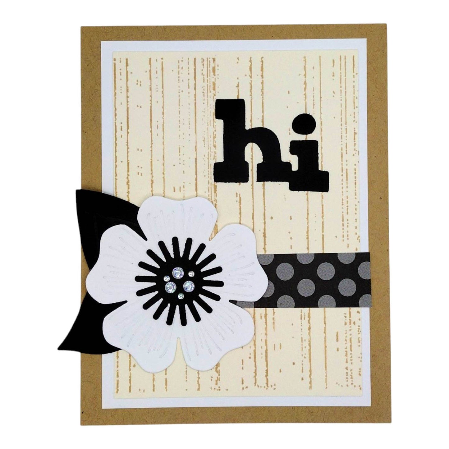 DP Background Stamp Set