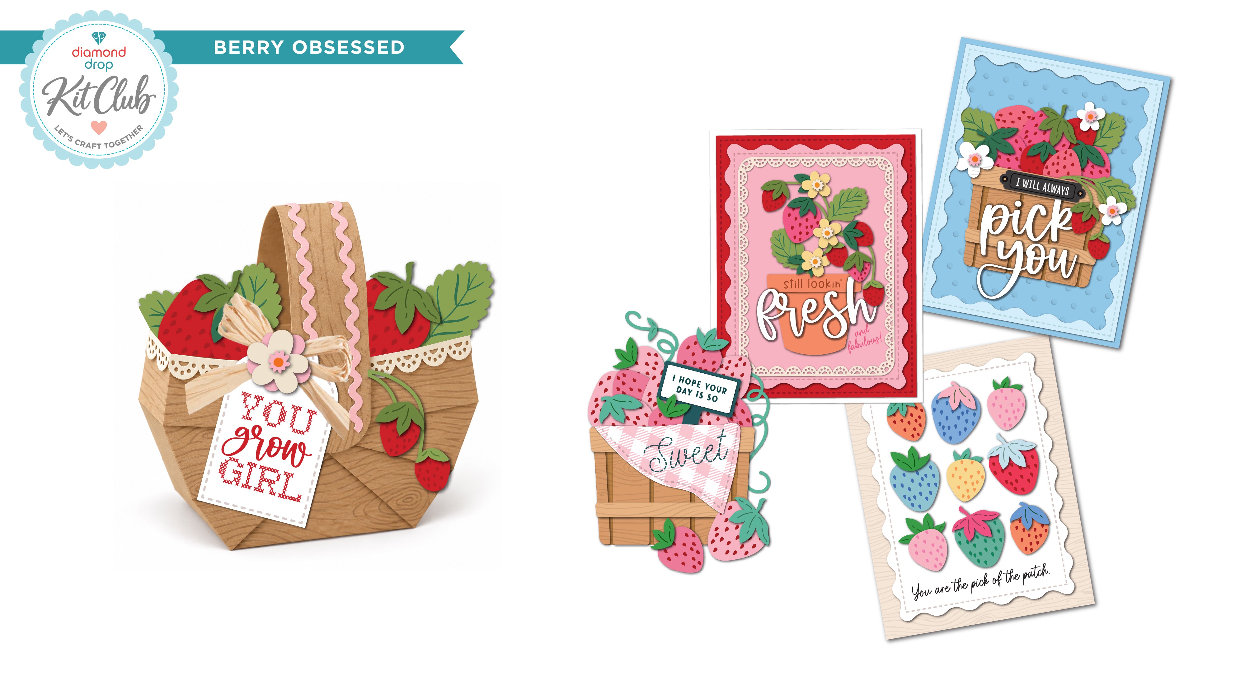 Diamond Drop Kit Club Subscription ONLY – Diamond Press Store
