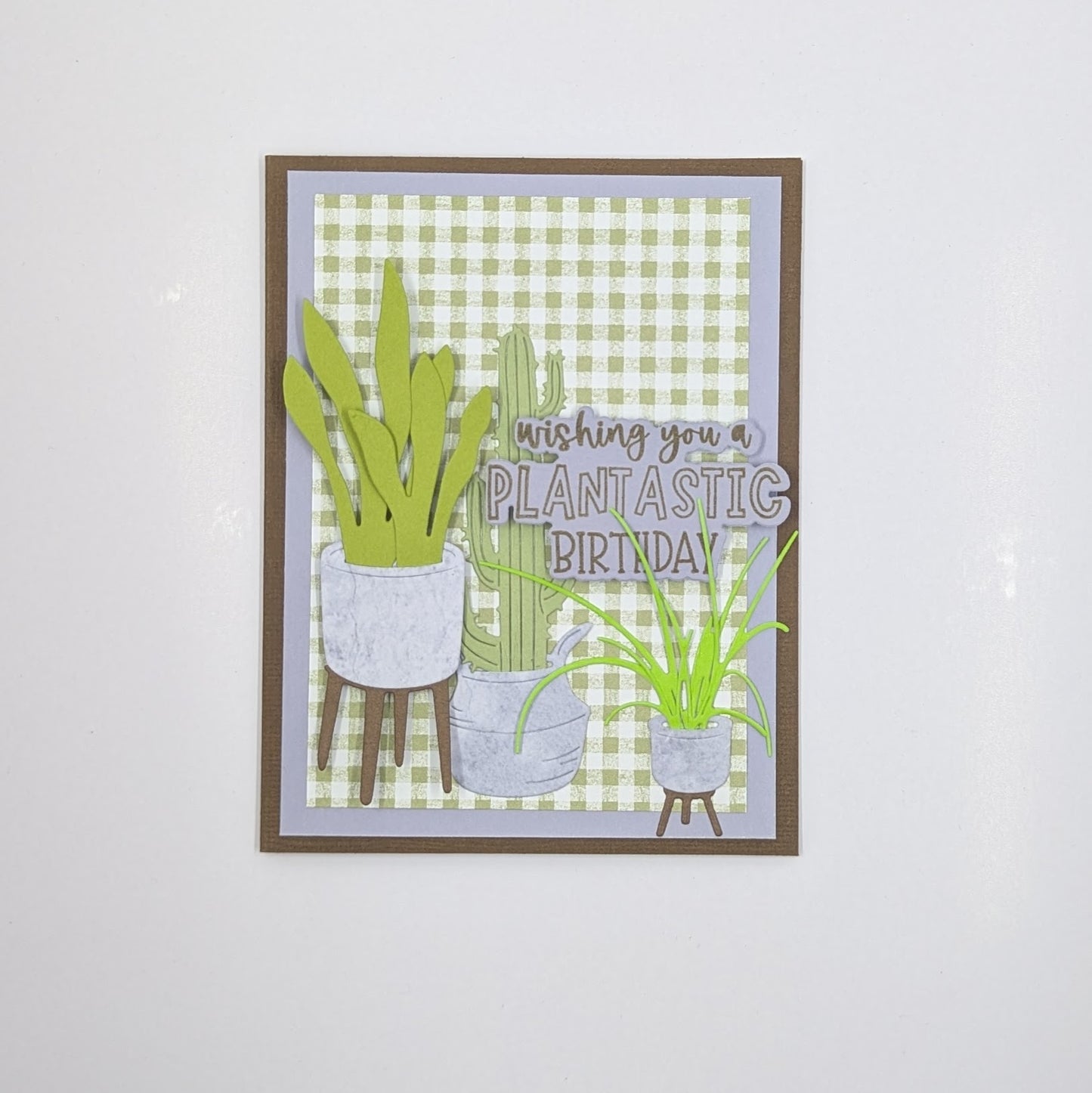 DP House Plants + Wood Planters